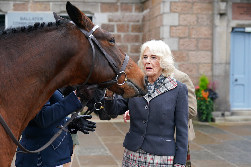 The Queen Consort pats a horse as she attends a reception to thank the community of Aberdeenshire for their organisation and support following the death of Queen Elizabeth II at Station Square, the Victoria & Albert Halls, Ballater, United Kingdom, Tuesday Oct. 11, 2022. (Andrew Milligan/pool photo via AP)
