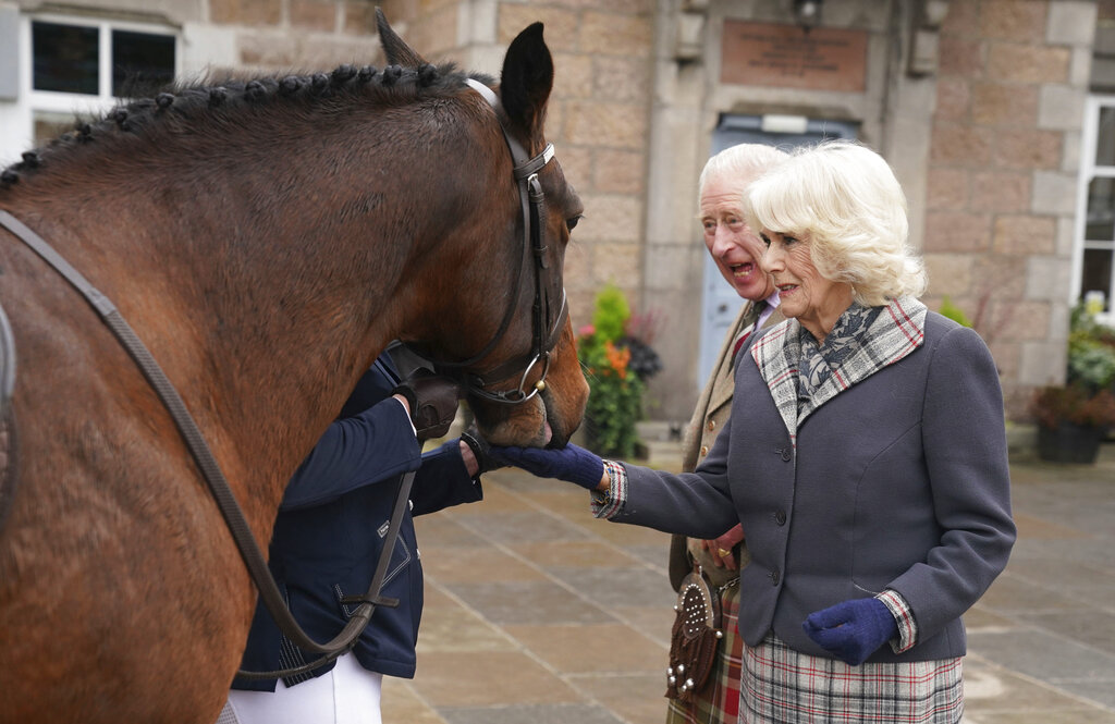Queen Consort feeds carrots to horses as she and King Charles III attend a reception to thank the community of Aberdeenshire for their organisation and support following the death of Queen Elizabeth II at Station Square, the Victoria & Albert Halls, Ballater, United Kingdom, Tuesday Oct. 11, 2022. (Andrew Milligan/pool photo via AP)