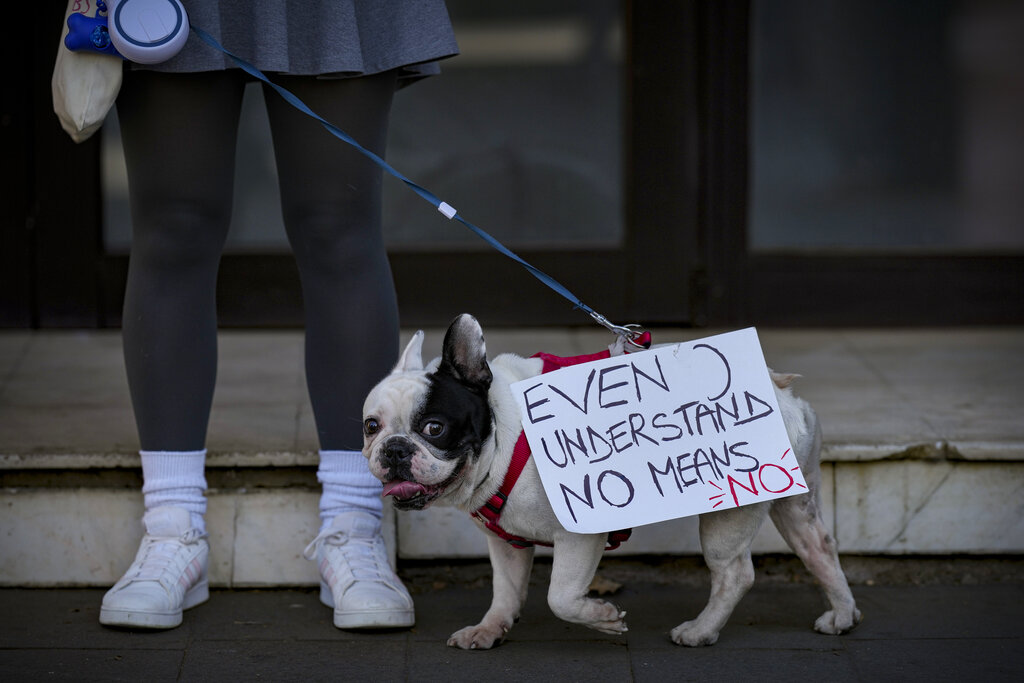 A dog carries a banner during a protest march aiming to raise awareness to the violence and prejudice against women in Romanian society in Bucharest, Romania, Sunday, Oct. 23, 2022. Participants called for better support and protection for the victims of violence and the implementation of a national strategy to ensuring gender equality and combat domestic violence. (AP Photo/Vadim Ghirda)