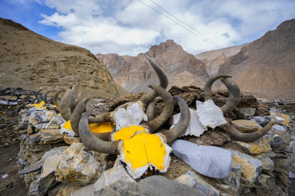 Animal skulls are displayed atop a mud house, meant to ward off evil spirits, in the remote Kharnak village in the cold desert region of Ladakh, India, Saturday, Sept. 17, 2022. Konchok Dorjey now lives with his wife, two daughters and a son in Kharnakling, where scores of other nomadic families from his native village have also settled in the last two decades. (AP Photo/Mukhtar Khan)