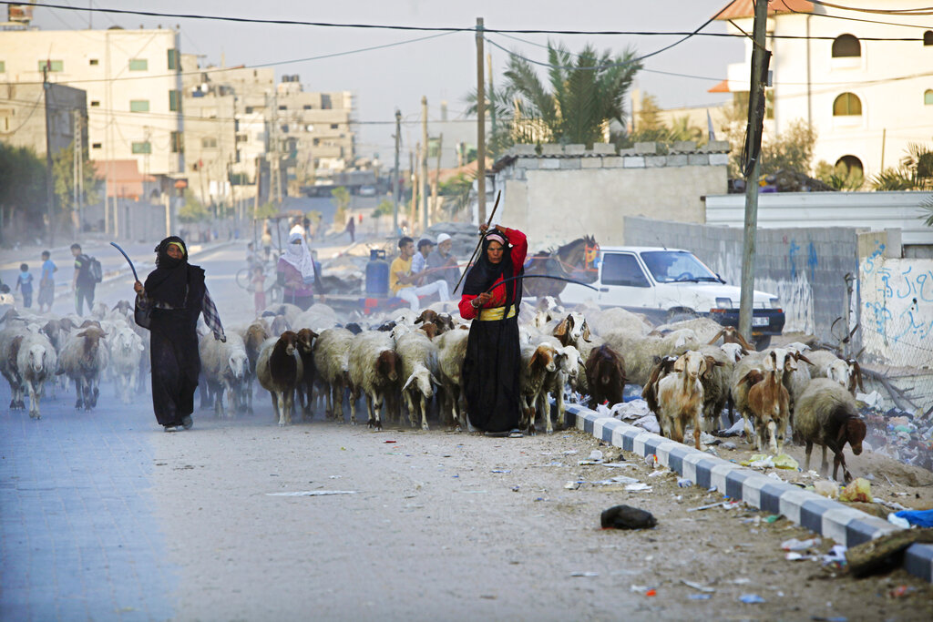 Palestinian shepherd women walk with their sheep on the main road in Gaza City, Tuesday, Oct. 1, 2013. (AP Photo/Adel Hana)