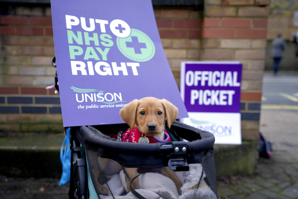 A dog joins Ambulance workers on a picket line in London, Wednesday, Dec. 21, 2022. Thousands of ambulance workers in Britain are staging a 24-hour strike, with unions and the government swapping accusations of blame for putting lives at risk. The government is telling people not to play contact sports, take unnecessary car trips or get drunk in order to reduce their risk of needing an ambulance on Wednesday. (AP Photo/Kirsty Wigglesworth)
