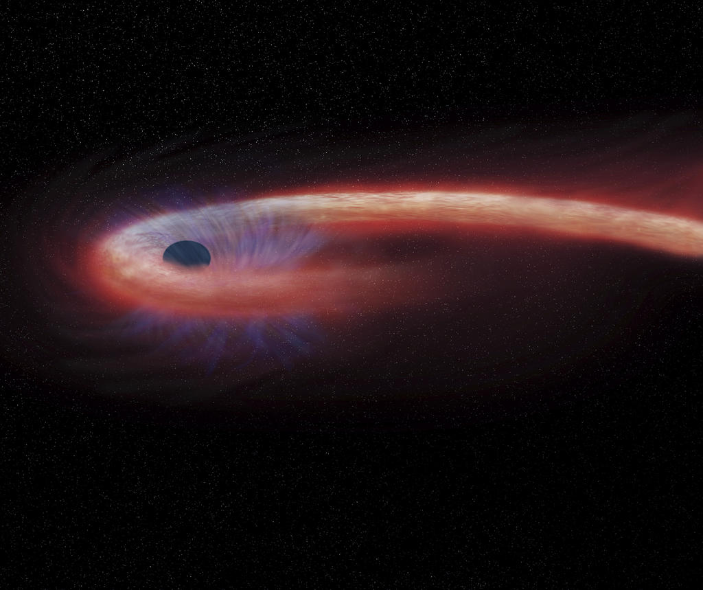 This artist rendering provided by NASA shows a star being swallowed by a black hole, and emitting an X-ray flare, shown in red, in the process. A new study published Monday, Feb. 6, 2017, in the journal Nature Astronomy details a black hole that's taken a record-breaking decade to devour a star 1.8 billion light-years from Earth. (NASA/Chandra X-ray Observatory/M.Weiss via AP)