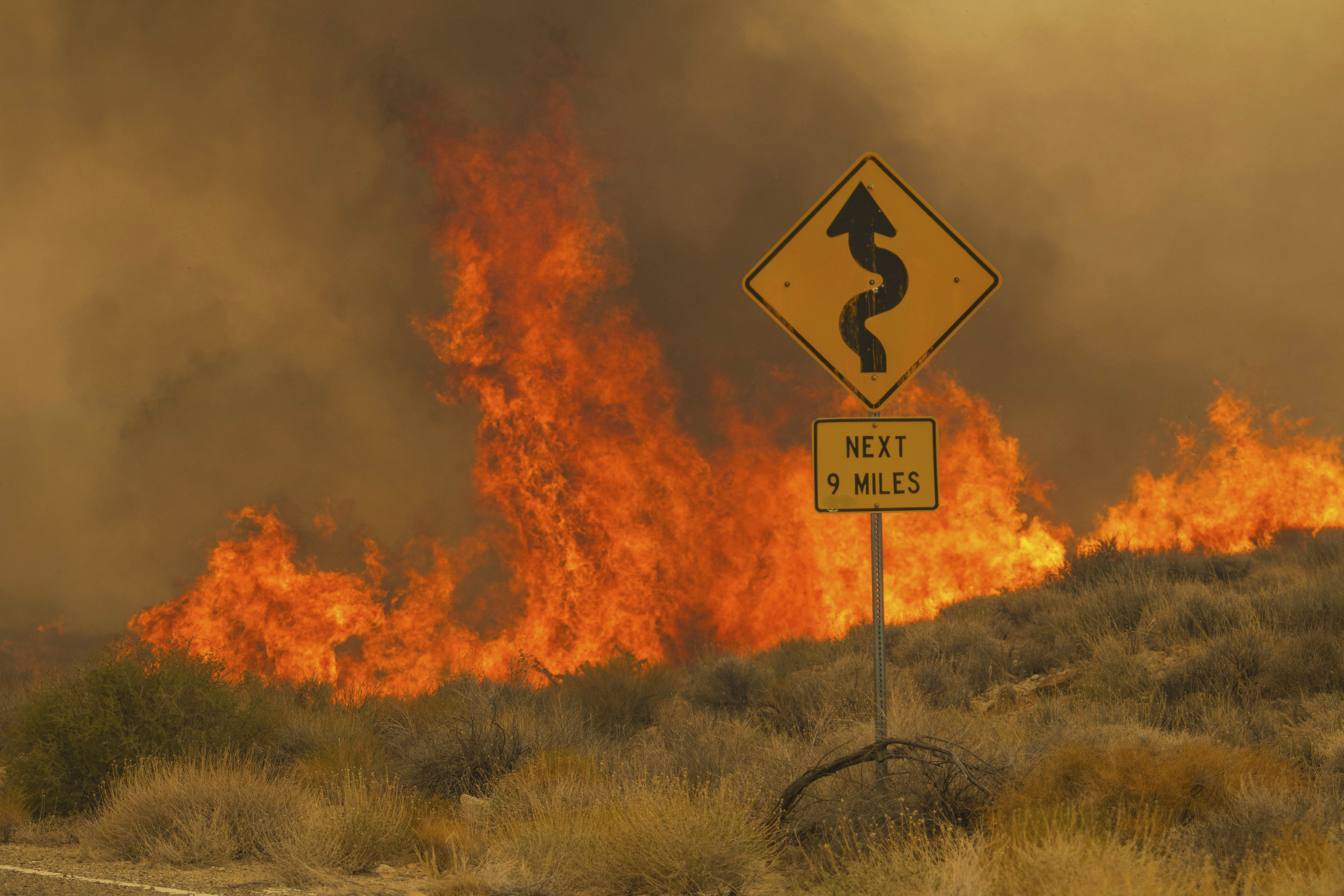 Flames rise from the York Fire on Ivanpah Rd. on Sunday, July 30, 2023, in the Mojave National Preserve, Calif. The York Fire has burned over 77,000 acres and has 0% containment. (AP Photo/Ty ONeil)