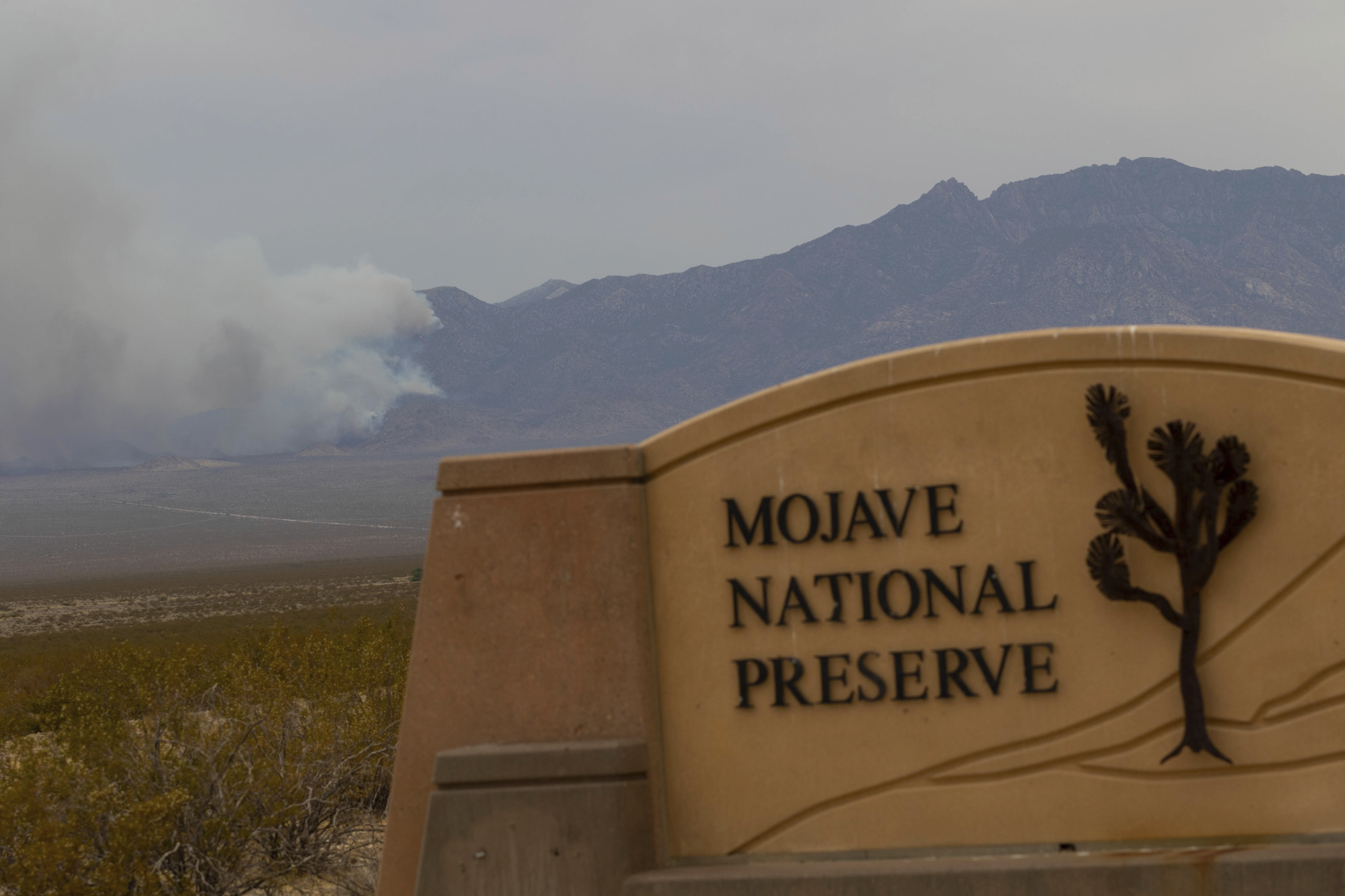 Smoke rises from a mountain range on Sunday, July 30, 2023, in the Mojave National Preserve, Calif. The York Fire has burned over 77,000 acres and has 0% containment. (AP Photo/Ty ONeil)