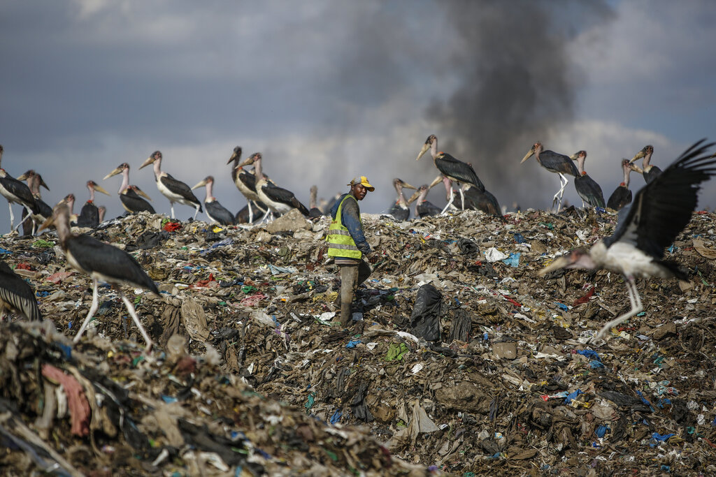 A man who scavenges recyclable materials for a living, center, walks past Marabou storks feeding on a mountain of garage amidst smoke from burning trash at Dandora, the largest garbage dump in the capital Nairobi, Kenya Tuesday, Sept. 7, 2021. Tuesday marks the second 