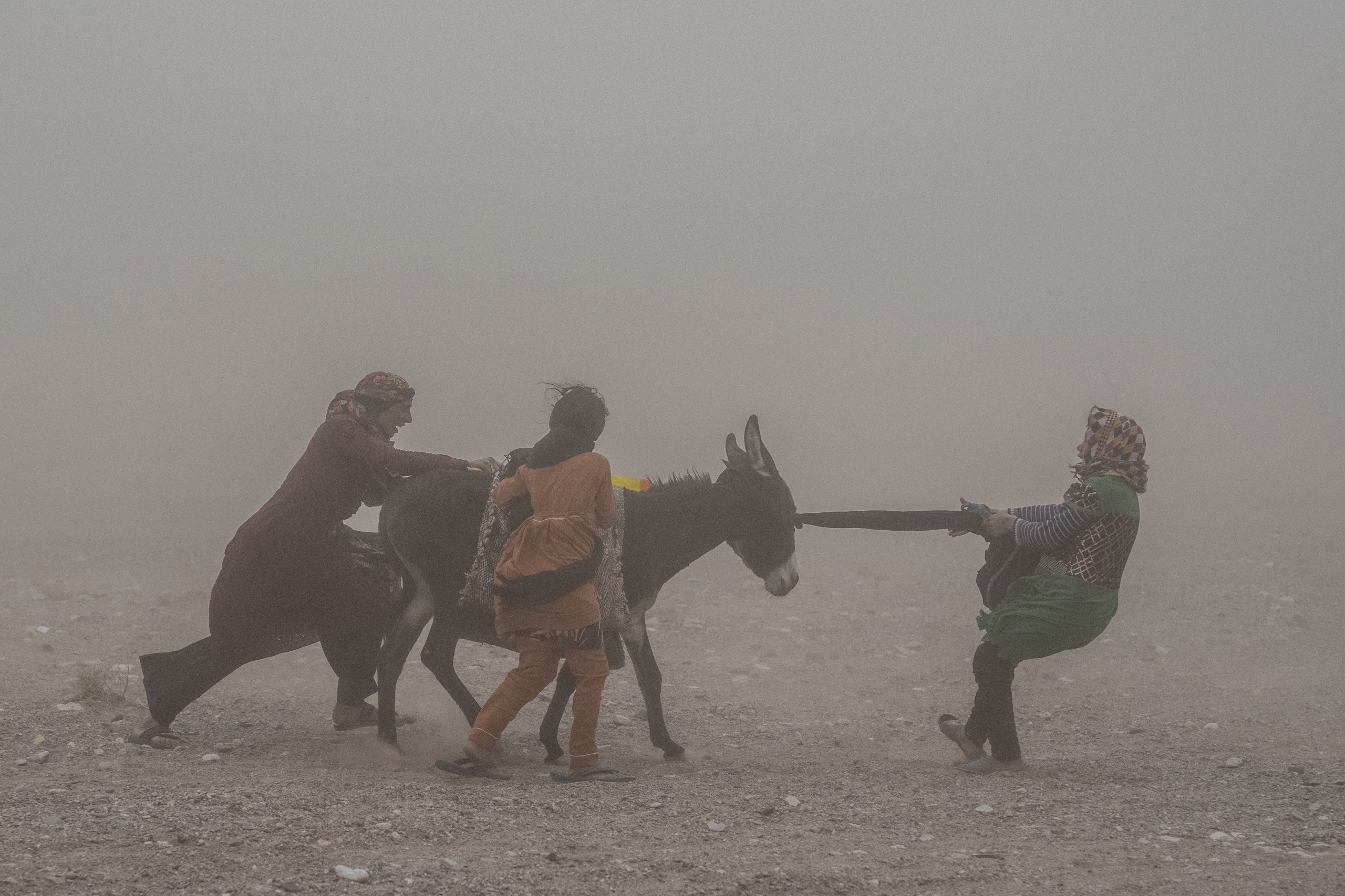 Afghan girls and women carry donated aid to their tents, while they are scared and crying from the fierce sandstorm, after an earthquake in Zenda Jan district in Herat province, western of Afghanistan, Thursday, Oct. 12, 2023. Another strong earthquake shook western Afghanistan on Wednesday morning after an earlier one killed more than 2,000 people and flattened whole villages in Herat province in what was one of the most destructive quakes in the country's recent history. (AP Photo/Ebrahim Noroozi)

Associated Press/LaPresse
Only Italy and Spain