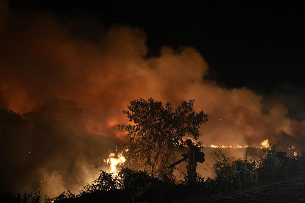 A firefighter works to douse a fire on Transpantaneira Road in the Pantanal wetlands near Pocone, Mato Grosso state, Brazil, Wednesday, Nov. 15, 2023. Amid the high heat, wildfires are burning widely in the Pantanal biome, the world's biggest tropical wetlands. (AP Photo/Andre Penner)