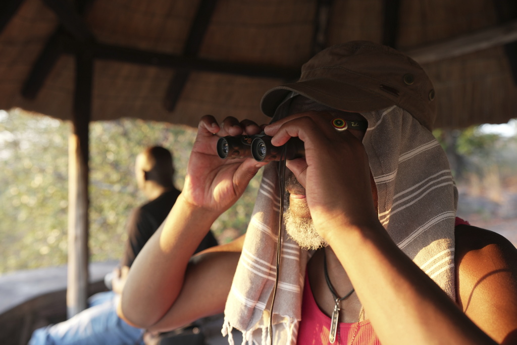 A game counter uses binoculars to spot animals coming to drink at a waterhole in Gonarezhou National Park, Saturday, Oct. 29 2023. In Zimbabwe, recent rains are bringing relief to Gonarezhou, the country's second biggest national park. But elsewhere in the wildlife –rich country, authorities say climate change-induced drought and erratic weather events are leading to the loss of plants and animals. (AP Photo/Tsvangirayi Mukwazhi)