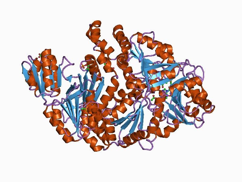 Proteina 1pjq