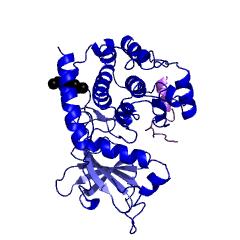 proteina chinasi-A
