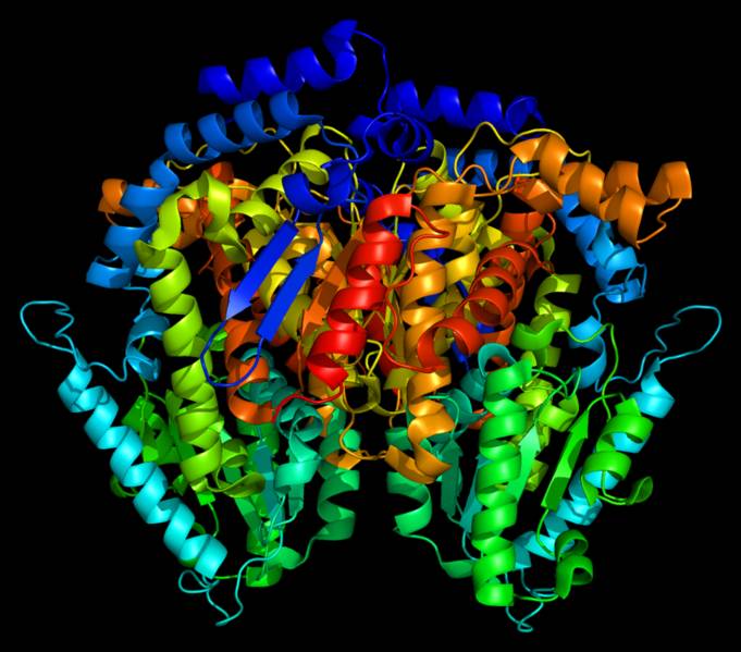 Proteina GPI