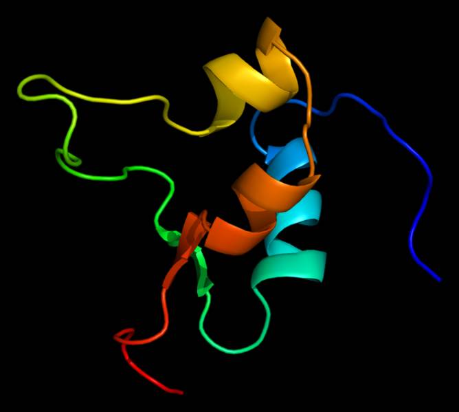 Proteina IGF2