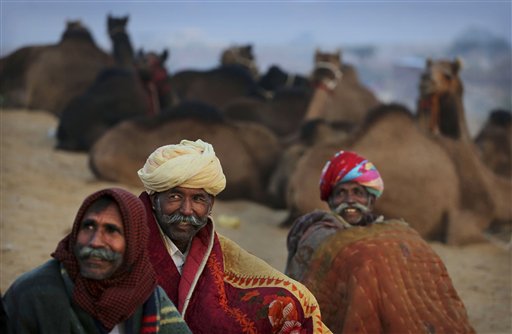 India: Fiera annuale del bestiame