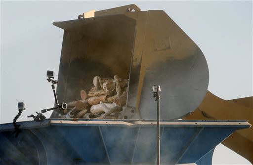 Distrutte 6 tonnellate di avorio