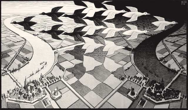 Mostra di Escher