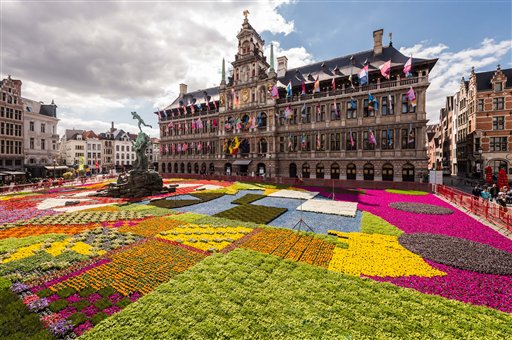 Tappeto di fiori ad Anversa