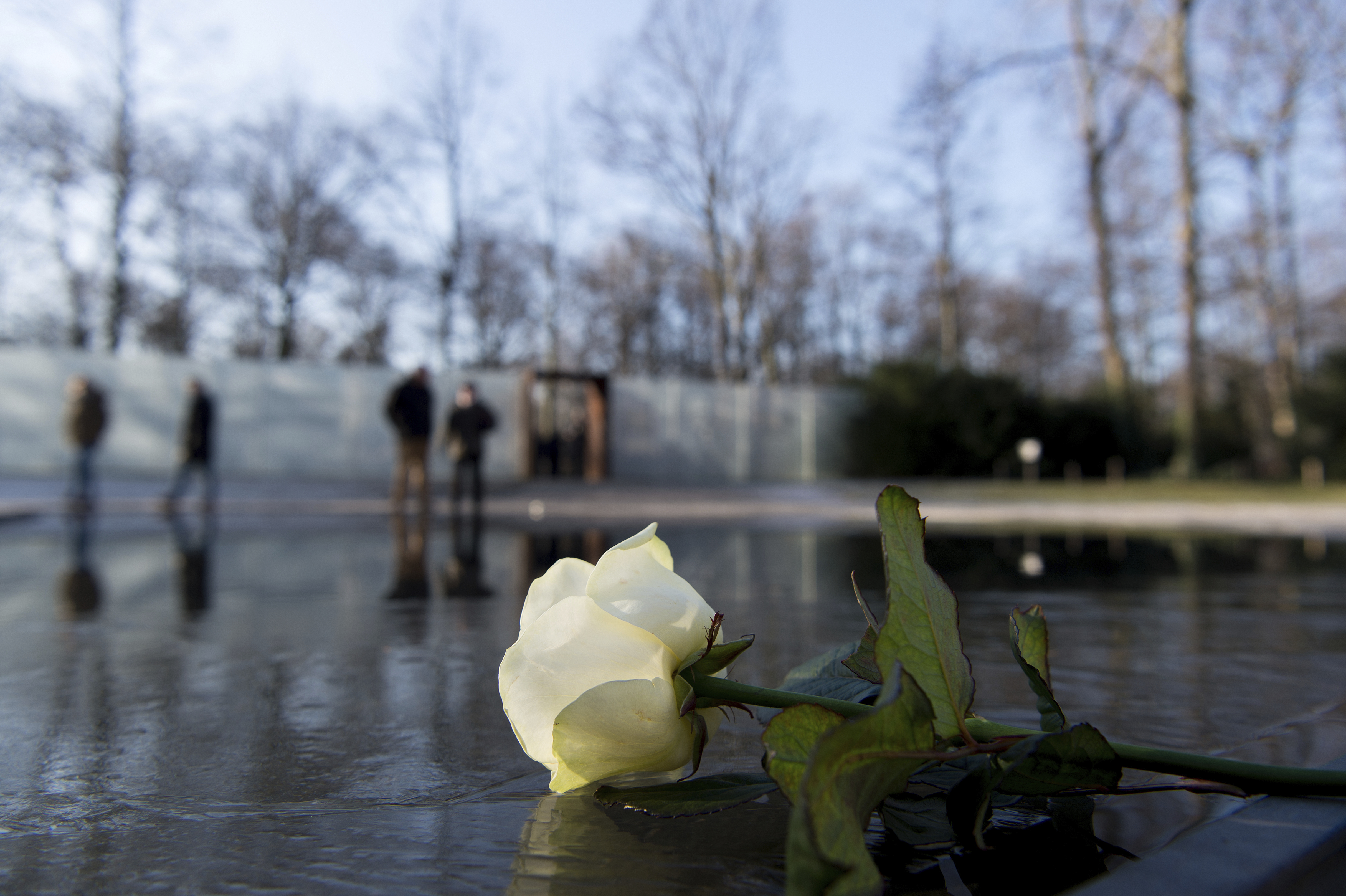 A white rose lies at the memorial for Europe's Sinti and Roma murdered during National Socialism during a memorial service held in remembrance of the Holocaust in Berlin, Germany, 27 January 2017. Photo by: Monika Skolimowska/picture-alliance/dpa/AP Images