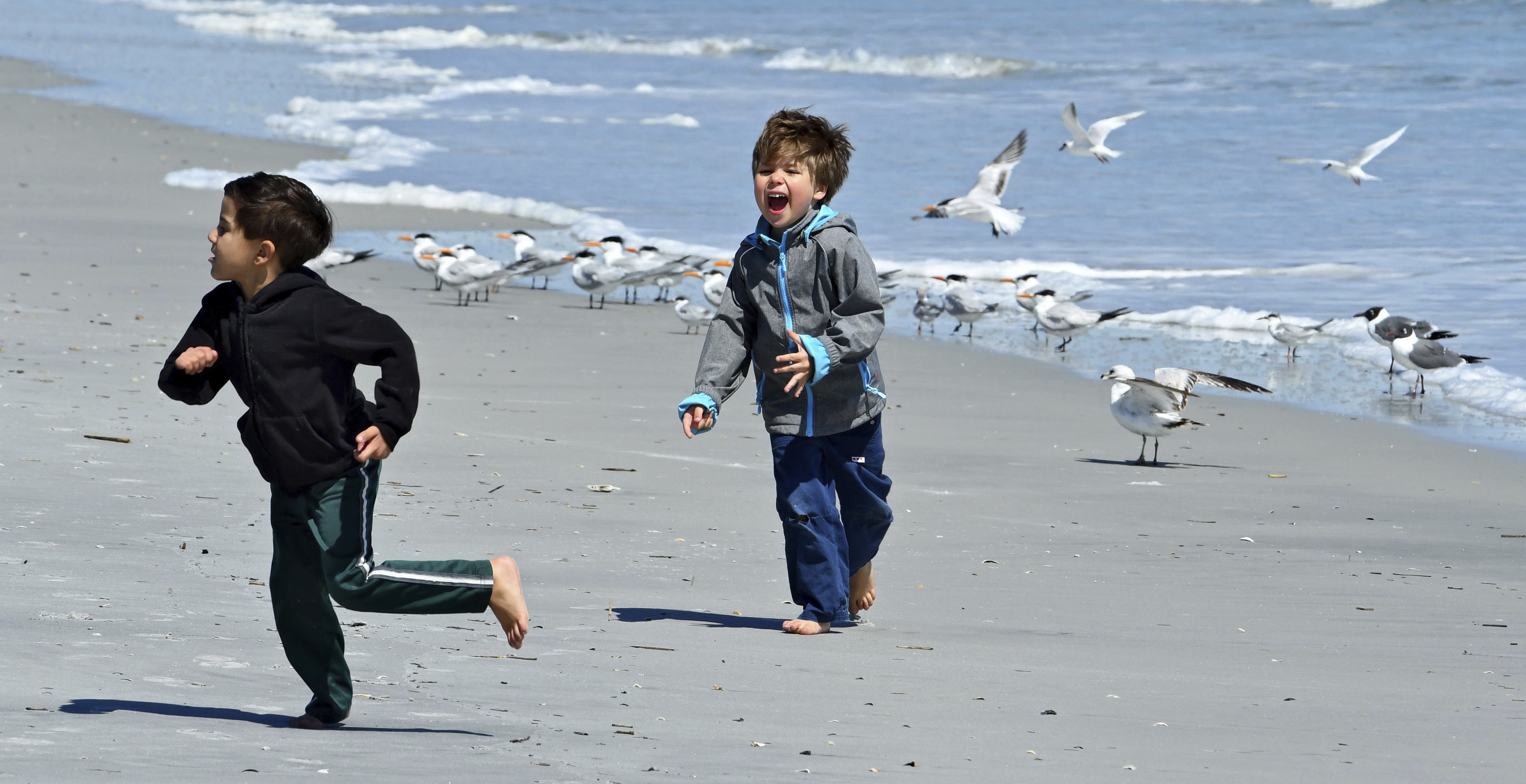 Local resident Marco, 5, (from left) and his cousin Lucas, 5, visiting from his home in Finland run away after teasing a flock of sea birds into flying on Atlantic Beach, FL. On Wednesday March 15, 2017 the threat of a possible hard freeze overnight in the Jacksonville, FL  brought firewood sales, shelter preparation and even a few folks who took advantage of the sunshine to play on Atlantic Beach filled the day as people prepared for the cold in their own way.  (Bob Mack/Florida Times-Union via AP)