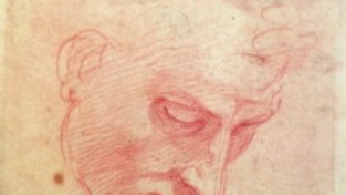 Le sei vite di Michelangelo