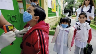 Influenza suina, nuova epidemia?
