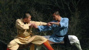 Shaolin 少 林