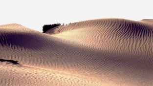 Sahara da scoprire