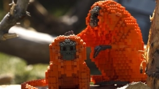 Uno zoo di animali fatti con i Lego