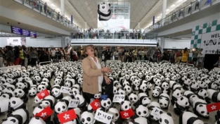 1600 panda alla conquista dell’Asia