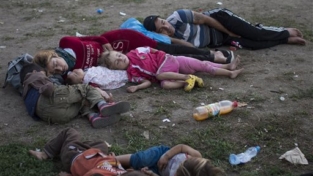 Al-Jazeera: Basta migranti, chiamiamoli rifugiati