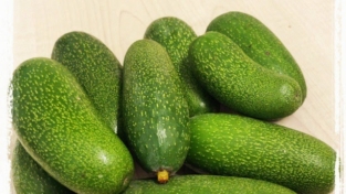 Insalata con mini avocado, radicchio e olive taggiasche