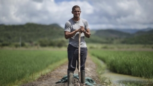 Porto Rico, più risorse dall’agricoltura