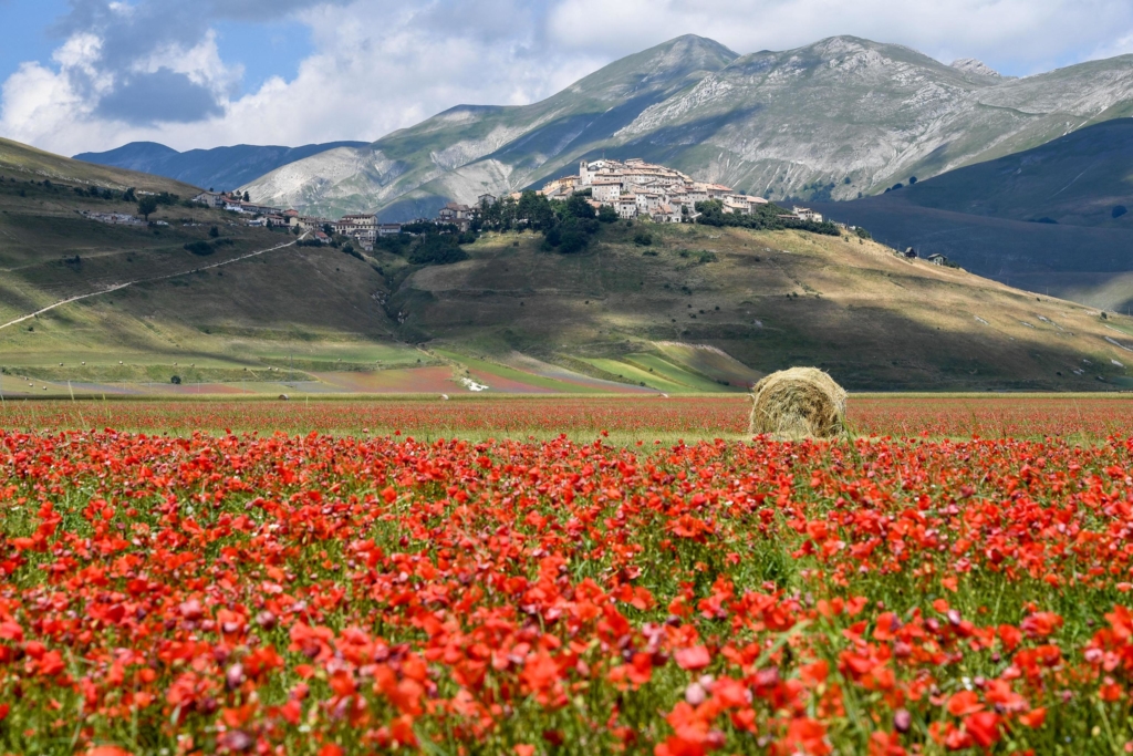 Piana di Castelluccio