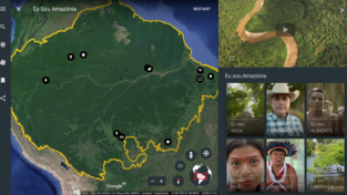 Google Earth lotta per l’Amazzonia