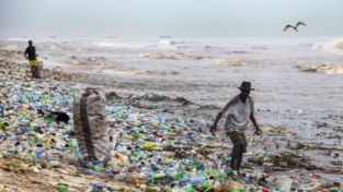 Sacchetti di plastica vietati in Kenya