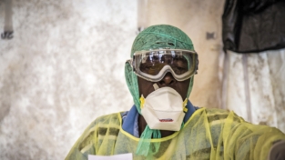 Riemerge la febbre da ebola