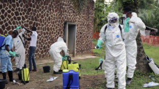 Ebola, l’ecatombe