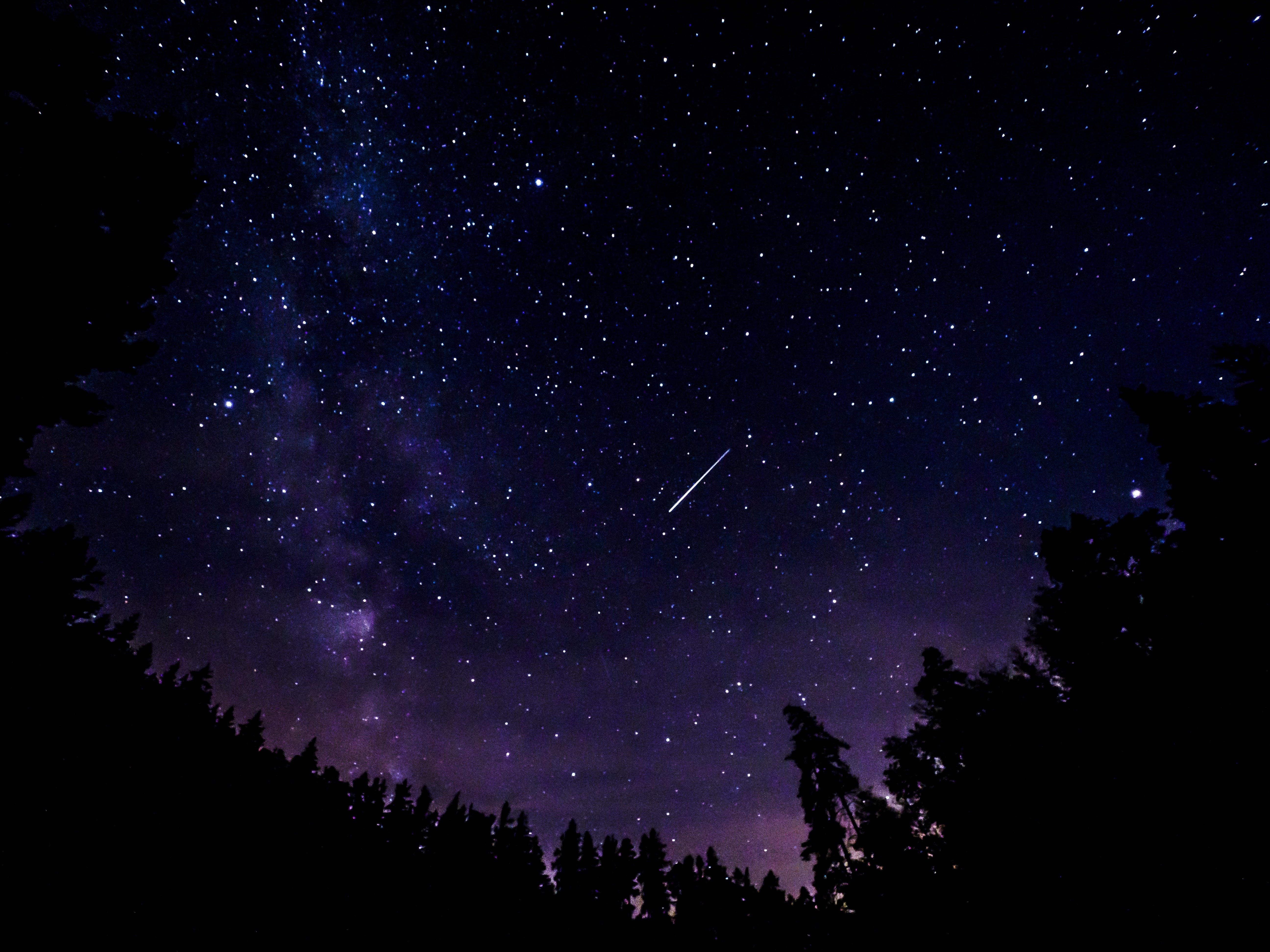 Night Sky, Milky Way, Meteor, Forest