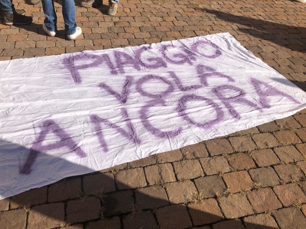Piaggio Aero: manifestazione a Savona, 'Subito commissario'