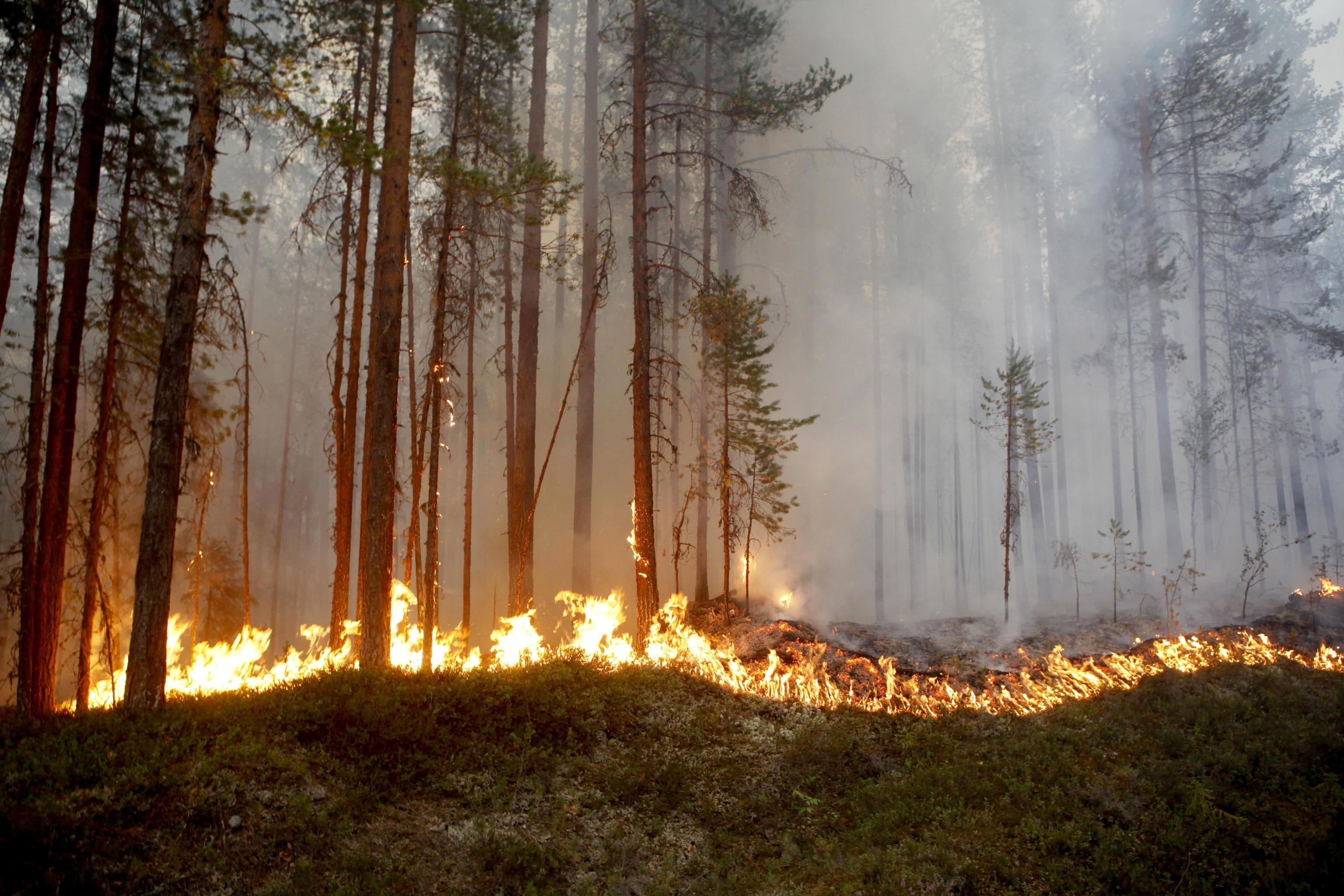 incendi-in-svezia-epa-mats-andersson-sweden-out