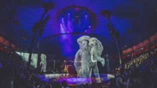 Circus Roncalli: ologrammi invece di animali