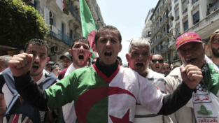 Algeria e non solo