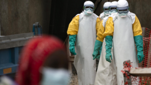 Nuovi farmaci contro l’ebola