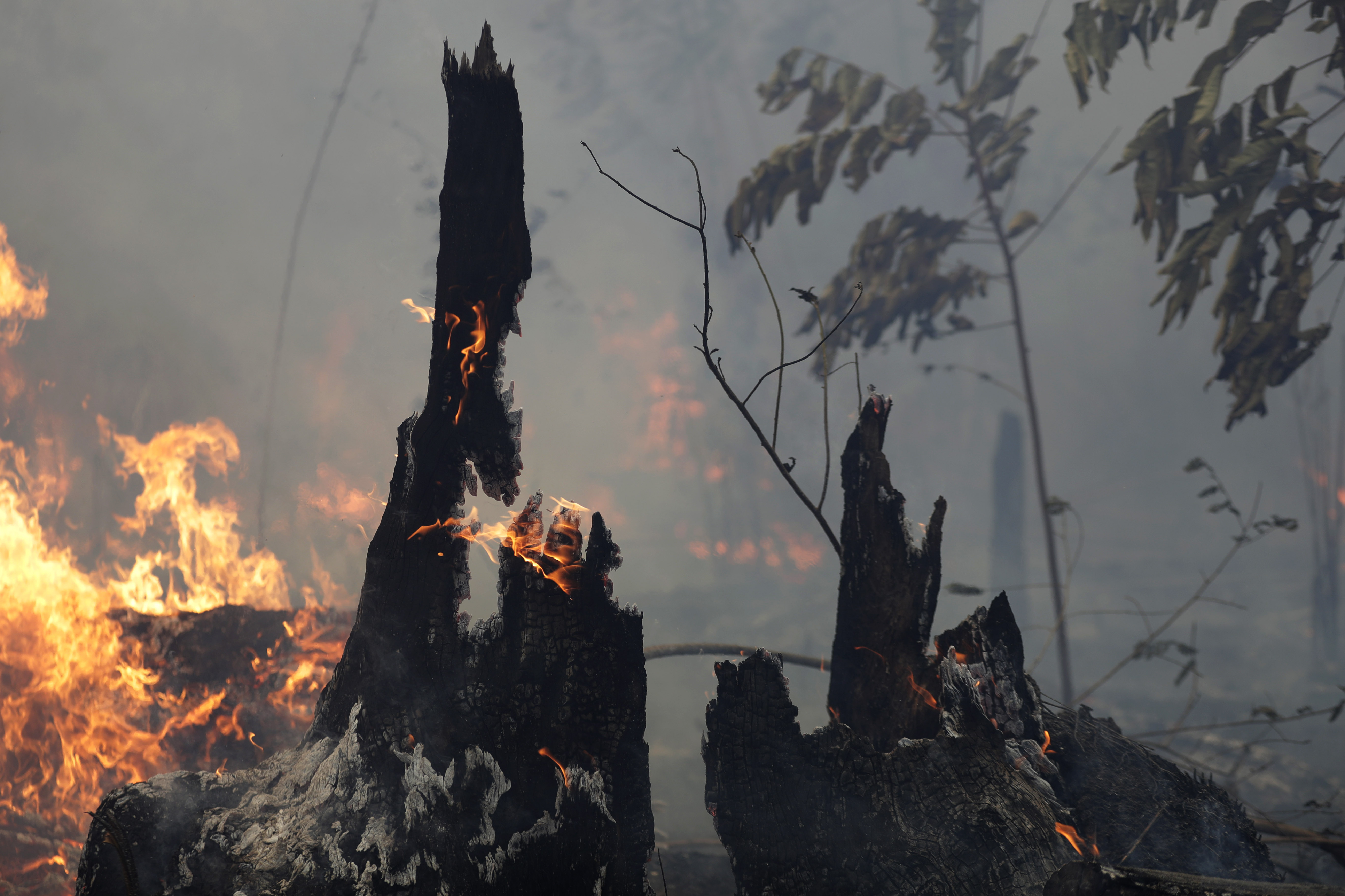 Quel che resta dopo gli incendi nella foresta amazzonica