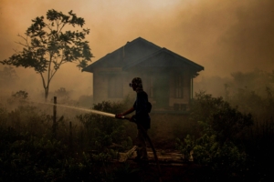 Forest fire in Central Kalimantan, Borneo island
