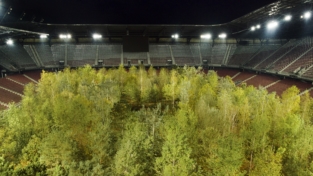 Il bosco nello stadio