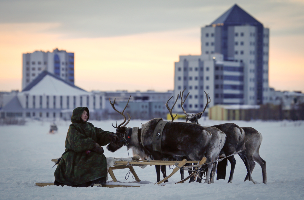 Russia Reindeer Herders Day