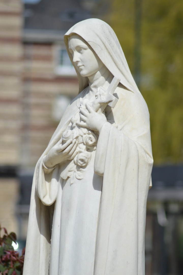immagine di Santa Teresa di Lisieux