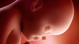 Diagnosi prenatale: un percorso di speranza