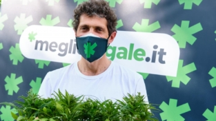 Legalizzazione della Cannabis, la riflessione che manca
